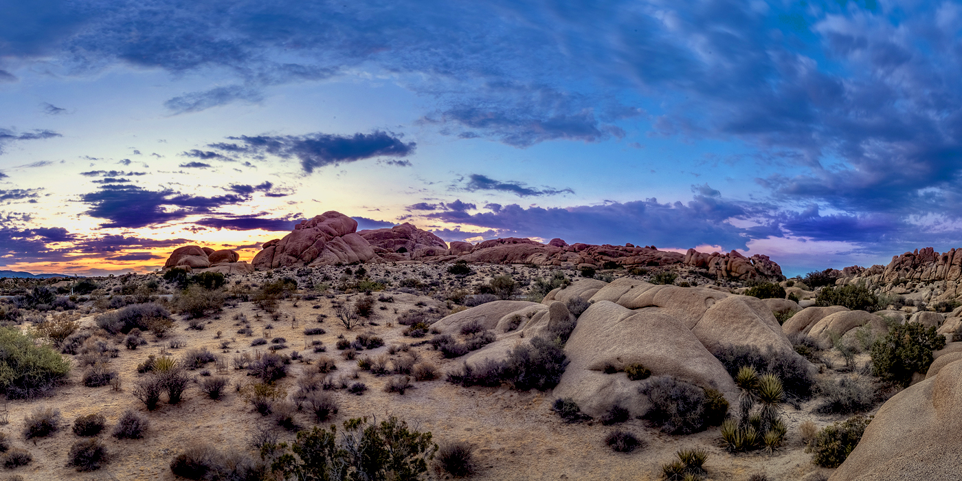 Finale and macOS Mojave